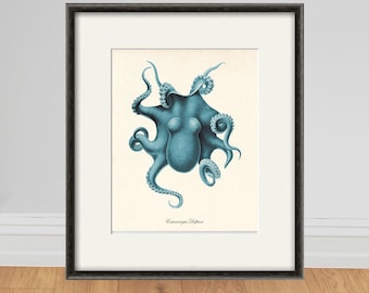 Antique Octopus Art Print: Vintage Sea Life, Victorian Nautical Decor