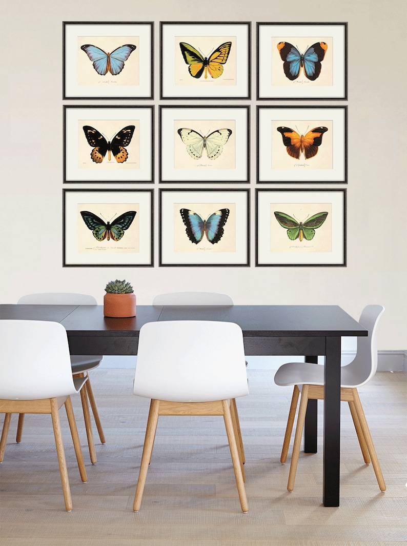 Butterfly art print French art print Cottage wall decor Victorian wall decor Antique print Nature wall art Home decor art Butterfly decor image 6