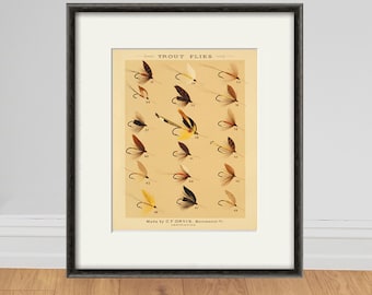 Vintage Fly Fishing Print: Antique Trout Flies Lithograph