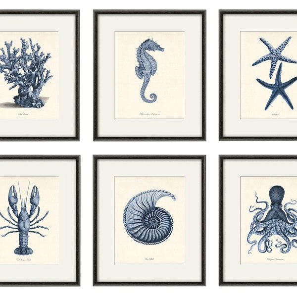 Nautical art print navy blue art Sea coral art print set of 6 antique wall art beach Ocean art print Sea art print Victorian wall art coral