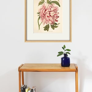 May include: A framed botanical illustration of a pink peony flower with green leaves. The print is displayed on a white wall above a wooden shelf with books and a blue vase with a small plant.