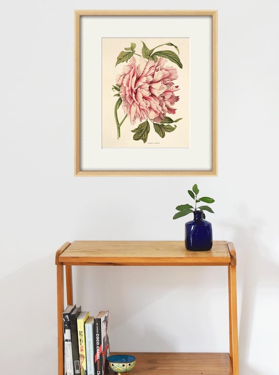 Yooyu Quadro vintage floreale su tela arte classica rosa peonia poster e stampa nordico da parete per soggiorno decorazione 30 x 40 cm senza cornice