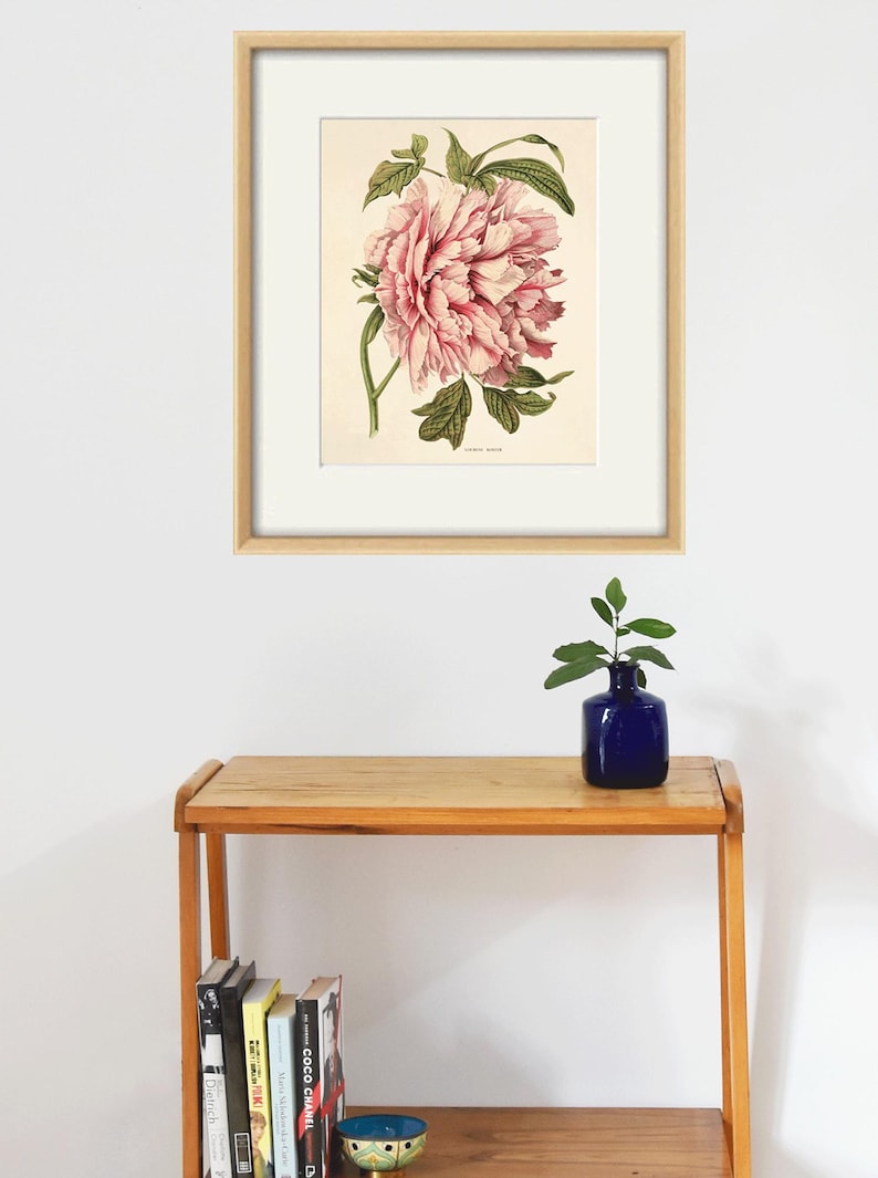 May include: A framed botanical illustration of a pink peony flower with green leaves. The print is displayed on a white wall above a wooden shelf with books and a blue vase with a small plant.