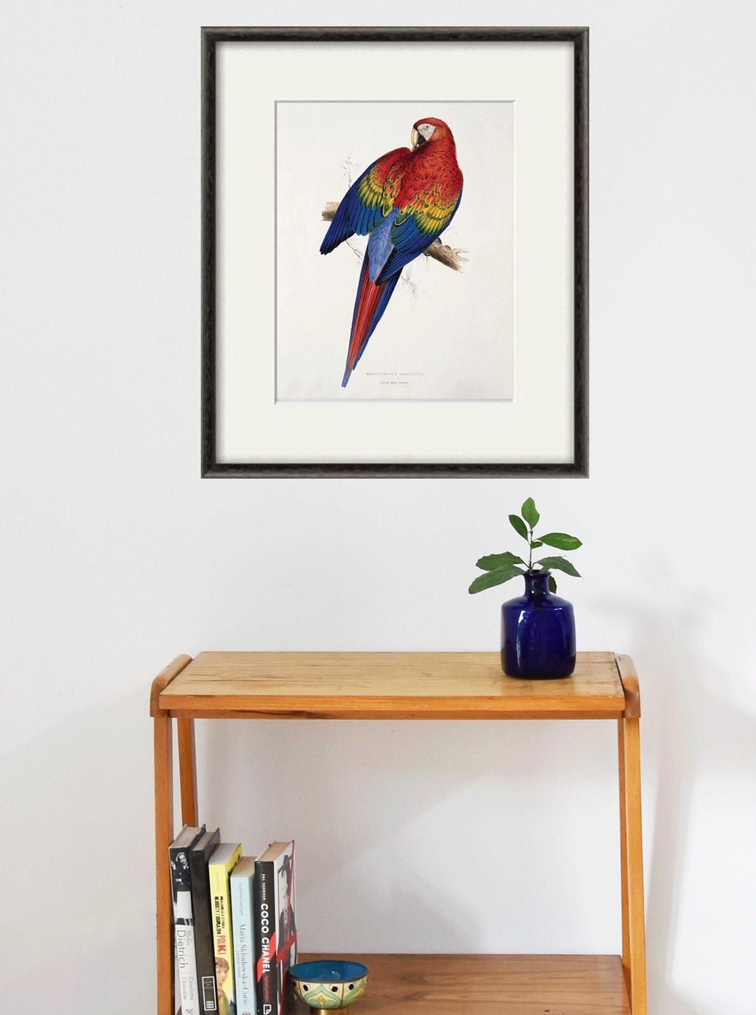 Antique Parrot Art Print: Vintage Victorian Bird Wall Decor - Etsy