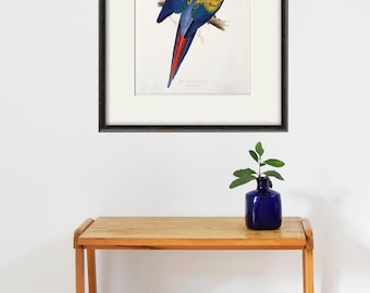 Antique Parrot Art Print: Vintage Victorian Bird Wall Decor