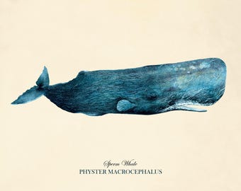 Antique Blue Whale Print: Victorian Nautical Wall Art