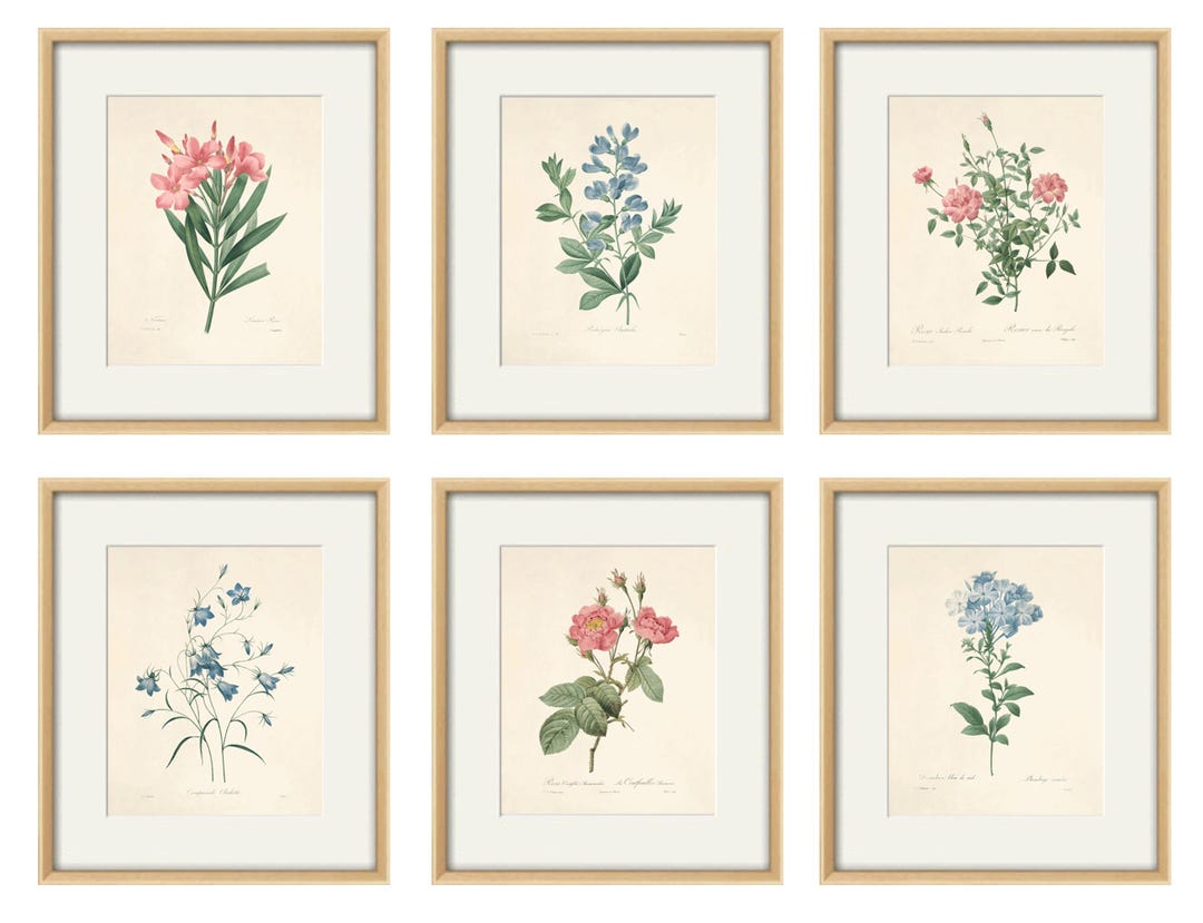 Antique Botanical Flower Prints Set of 6: French Floral Wall Art - Etsy