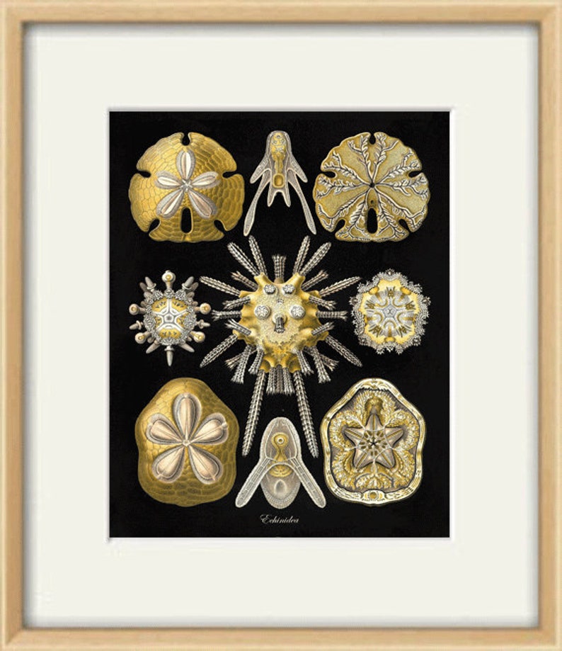 Nautical print Ocean art Ocean Decor Beach wall decor nature | Etsy