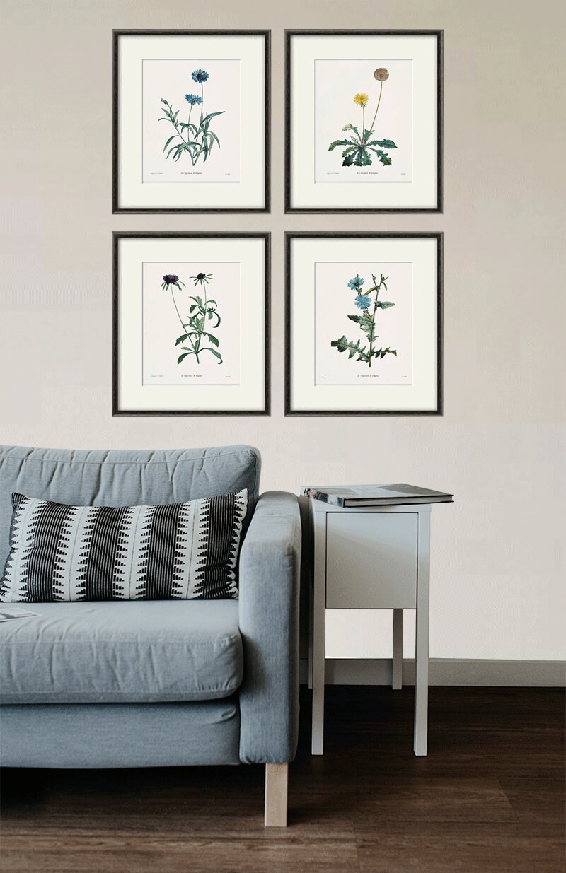Antique Botanical Prints SET of 4 Botanical Art Prints Flower | Etsy