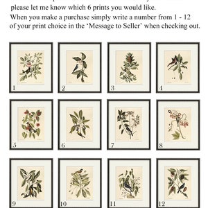 May include: Twelve framed bird prints are displayed, each with a unique botanical illustration. The prints are numbered 1 through 12. Text at the top reads: "I have 12 bird prints to choose from. To create your own set please let me know which 6 prints you would like."