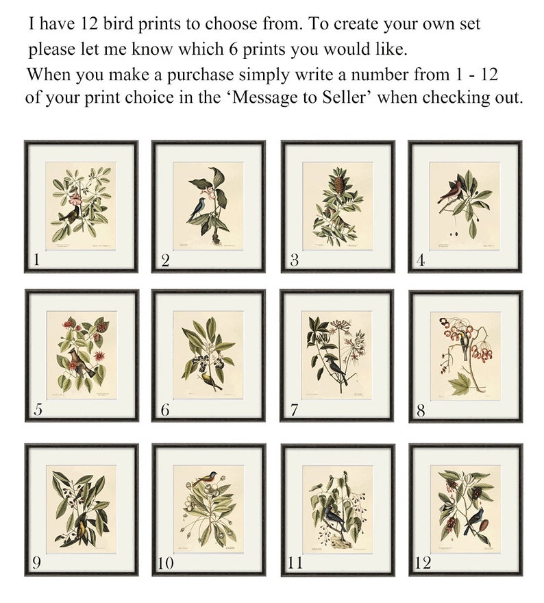 May include: Twelve framed bird prints are displayed, each with a unique botanical illustration. The prints are numbered 1 through 12. Text at the top reads: "I have 12 bird prints to choose from. To create your own set please let me know which 6 prints you would like."