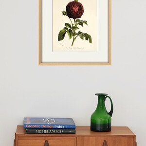 Red Rose Print Antique Flower Art Print Antique Wall Art Flower Decor ...