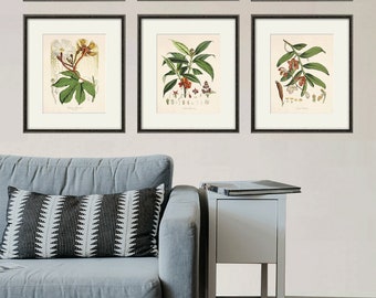 Antique botanical prints SET of 6 Botanical art prints flower prints wall art flowers botanical poster antique wall art home decor wall art