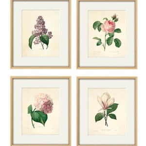 May include: Set of four framed botanical prints featuring a lilac, a rose, a hydrangea, and a magnolia. Each print is in a light wood frame with a white mat.