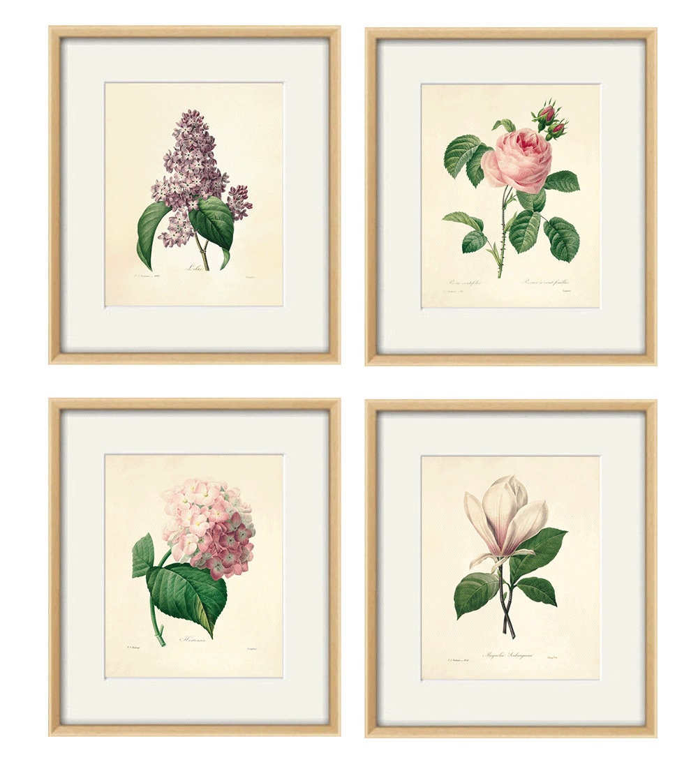 Botanical print vintage flower art Cottage wall art Victorian Etsy