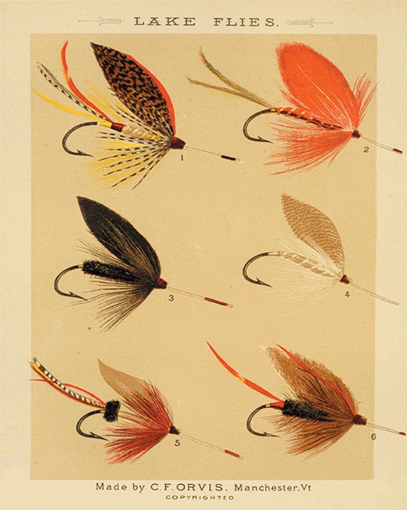 Lake Flies Fishing Print Fly Fishing Art Fishing Decor Art Old - Etsy