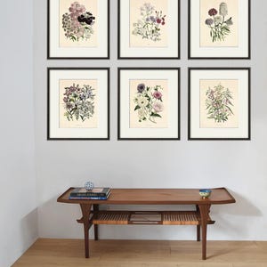 Antique botanical print Botanical art prints flower prints wall art flowers botanical poster antique wall art home decor wall art SET of 6