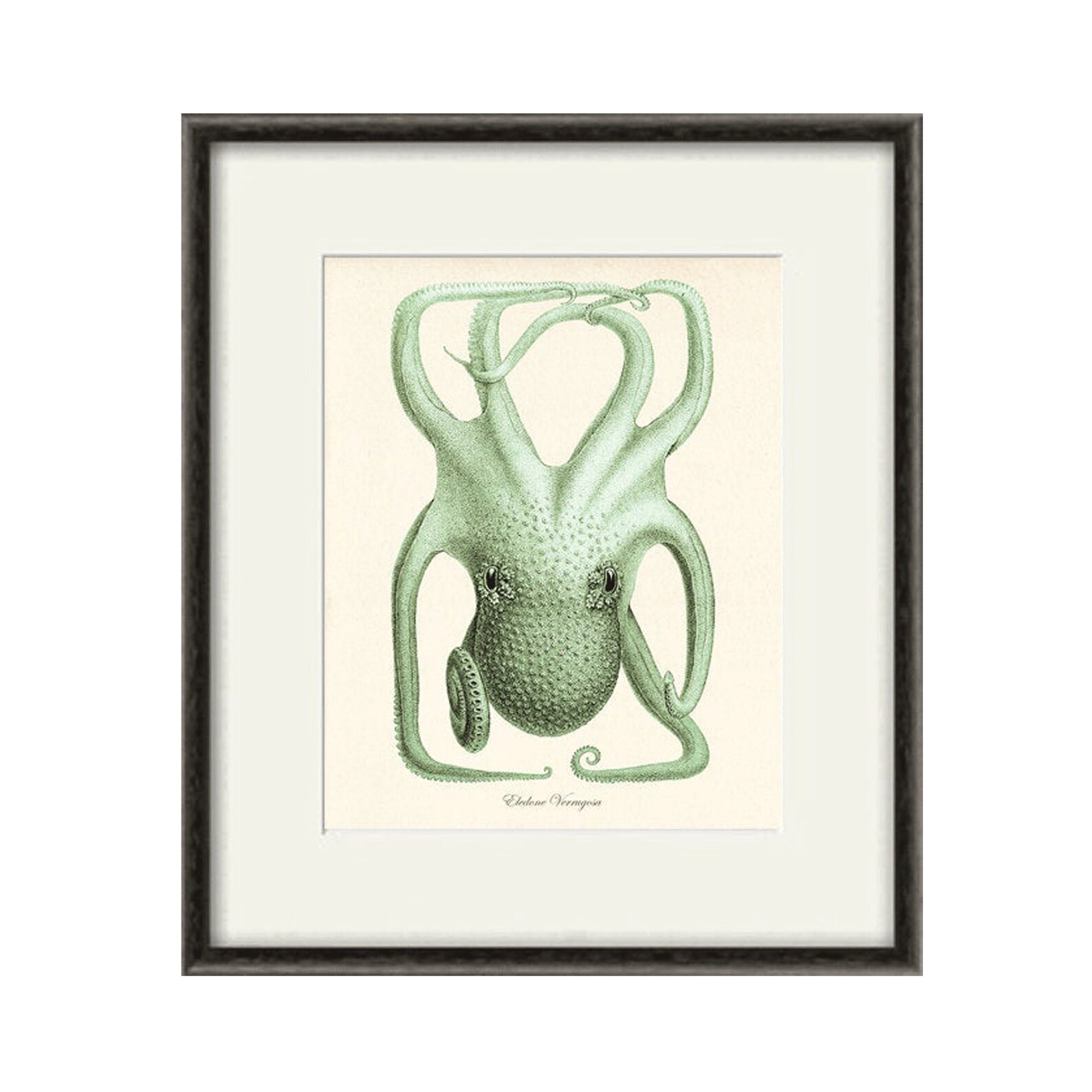 Antique Octopus Art Print Ocean Art Print Sea Art Print Beach Etsy