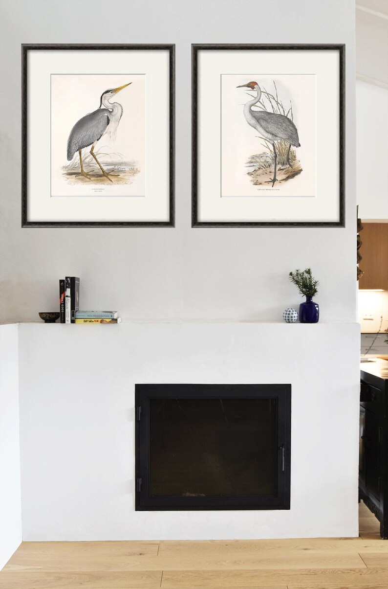 May include: Two framed prints of bird illustrations. The print on the left shows a grey heron with a long, thin beak. The print on the right shows a crane with a long, thin beak and a red crown.