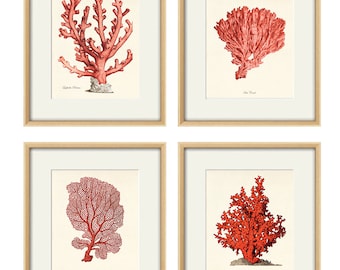 Red sea coral art Nautical art print set old prints ocean life art Ocean Decor nature print beach art Home decor wall art Sea art print