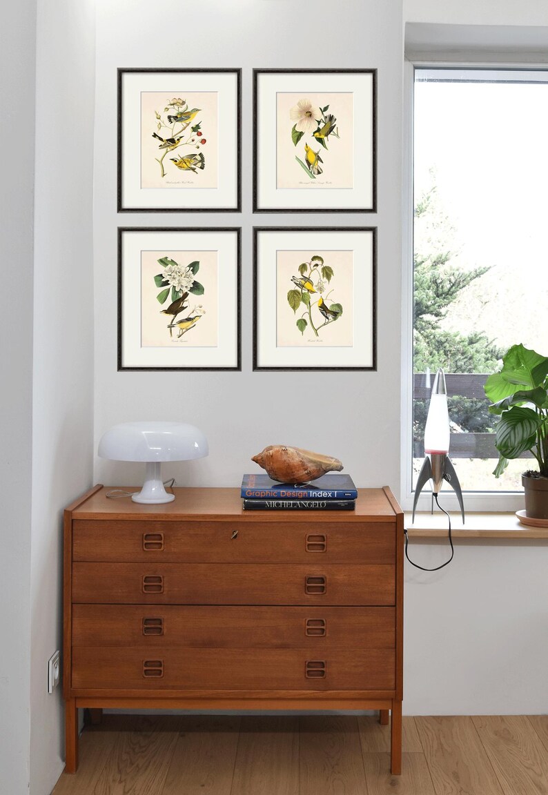 May include: Four framed prints of vintage bird illustrations with yellow and green birds perched on branches with white flowers. The prints are displayed on a white wall above a wooden dresser with books and a lamp.