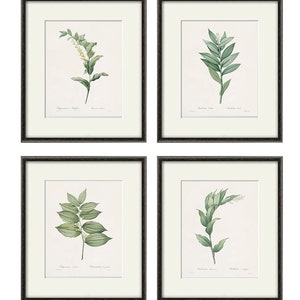 Botanical print set leaf art print French Botanical art print Cottage wall art leaf wall art plants art print botanical wall art leaf print