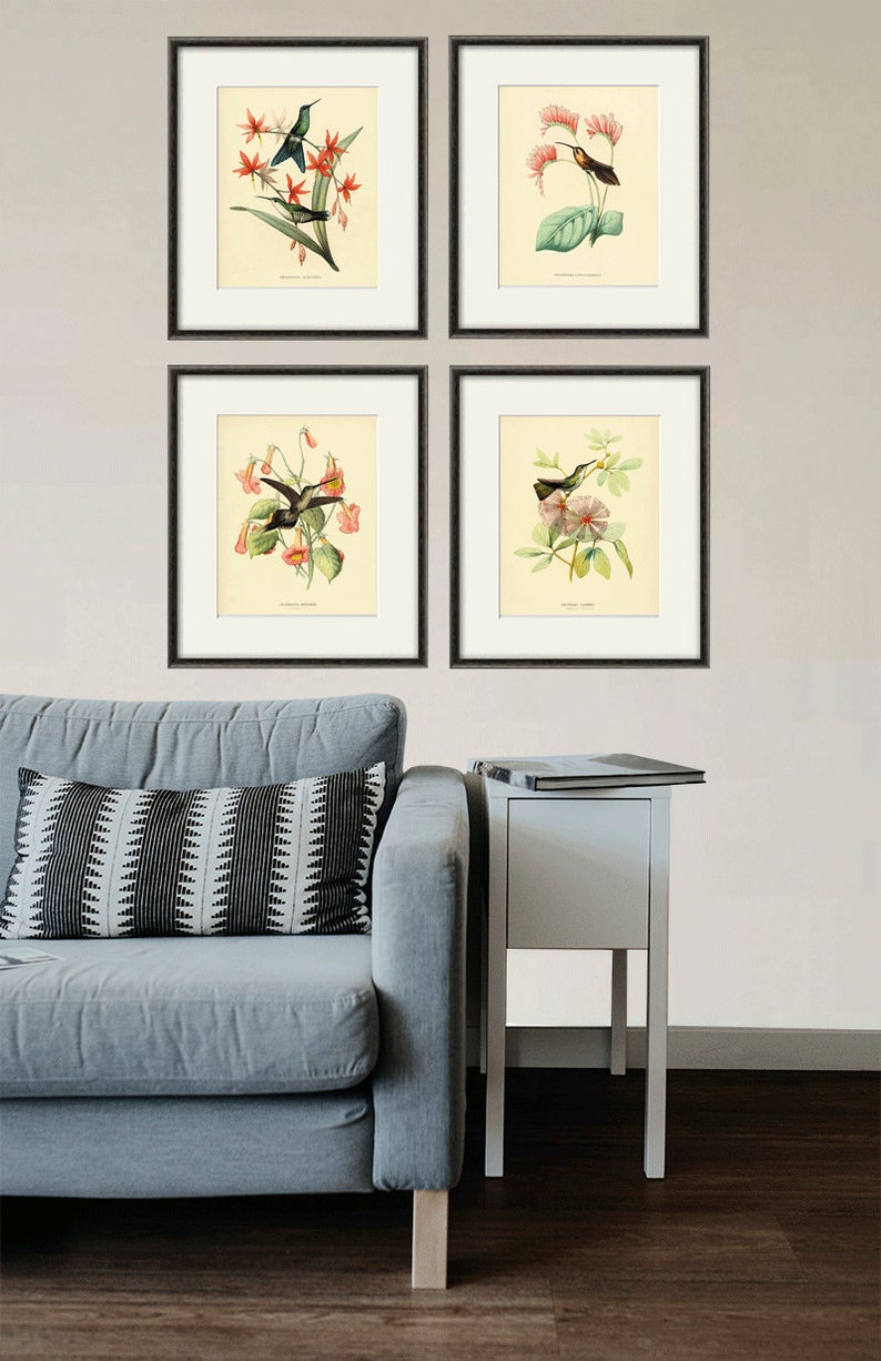 Hummingbirds art Vintage Bird Print Nature art print Vintage prints home decor wall art Natural History Victorian art old prints bird decor image 3