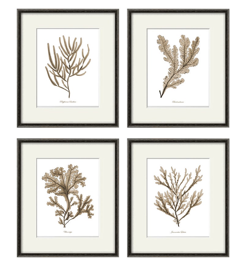 Beach Wall Prints Nautical Art Print Antique Wall Art Ocean Etsy
