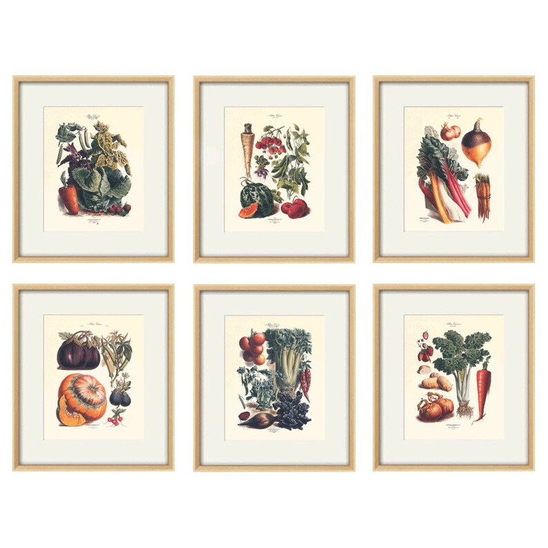 Vegetable Art Print Antique Botanical Image 0
