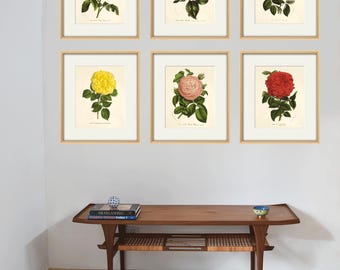 Vintage Rose Art Print: Antique Botanical Decor, French Cottage Style