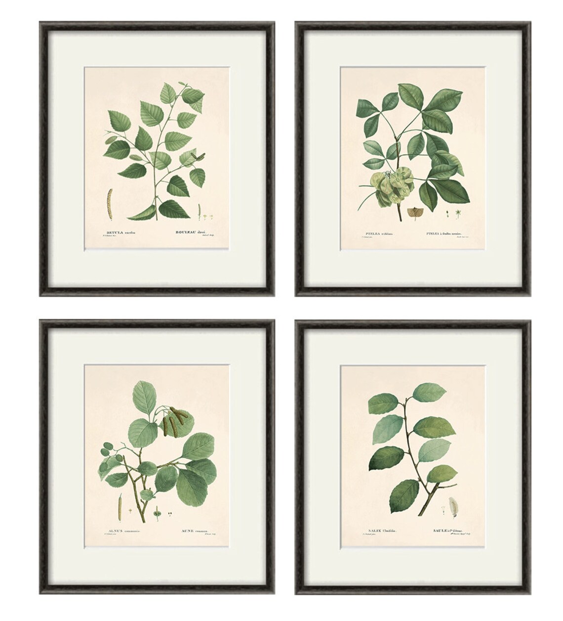 Botanical Print Set Leaf Art Print French Botanical Art Print Etsy