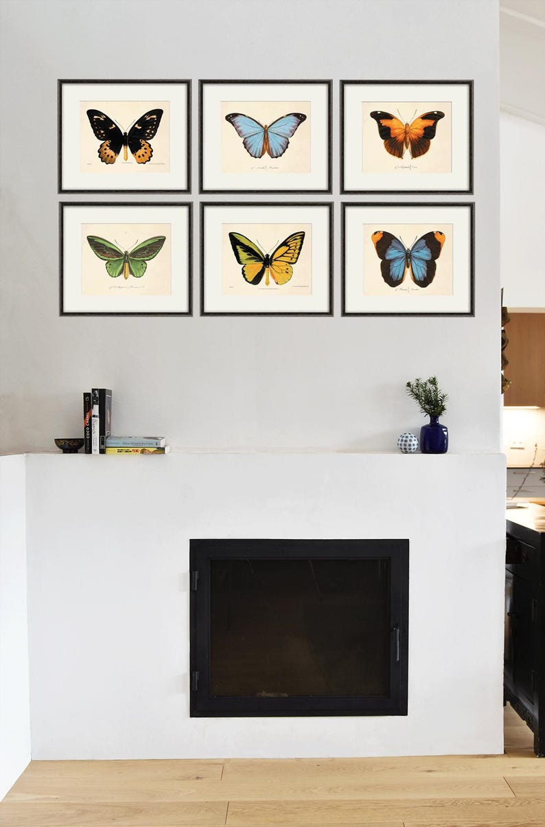 Puede incluir: Seis ilustraciones de mariposas enmarcadas en marcos negros en una pared blanca. Las mariposas son de varios colores, incluyendo negro, azul, verde, naranja y amarillo.