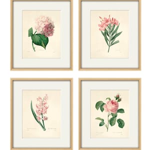 Antique botanical print Botanical art prints flower prints wall art flowers botanical poster antique wall art home decor wall art SET of 4