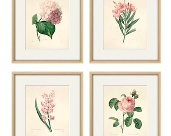 May include: Set of four botanical prints featuring pink flowers in vintage style frames. The prints depict a hydrangea, oleander, hyacinth, and rose.