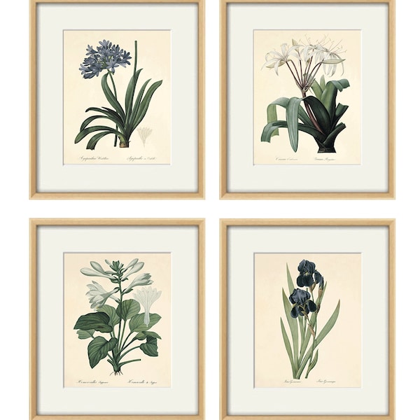 Victorian Wall Art Etsy