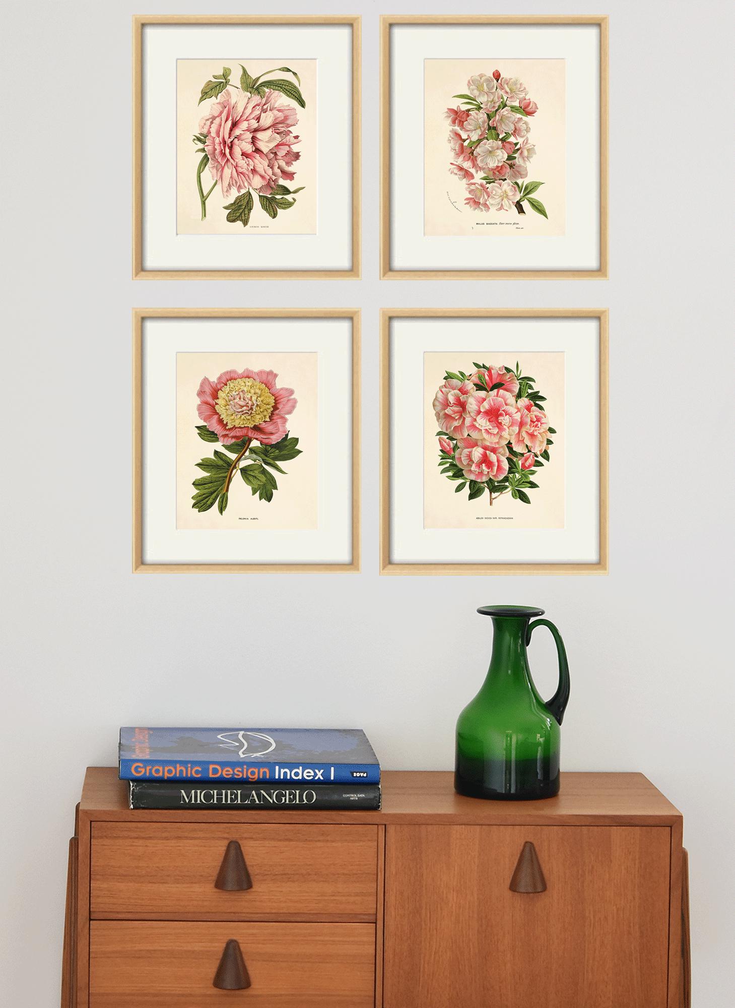 Pink Botanical Prints Set of 4: Vintage Victorian Flower Art - Etsy UK