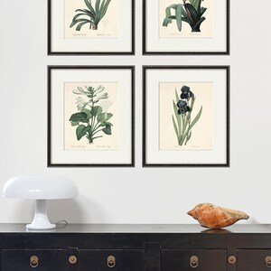 May include: Four framed botanical prints featuring different flowers. The prints are in black frames and are arranged in a grid pattern on a white wall. The flowers are a blue agapanthus, a white crinum, a white lily, and a dark blue iris.