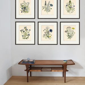 Antique botanical prints SET of 6 Botanical art prints flower prints wall art flowers botanical poster antique wall art home decor wall art