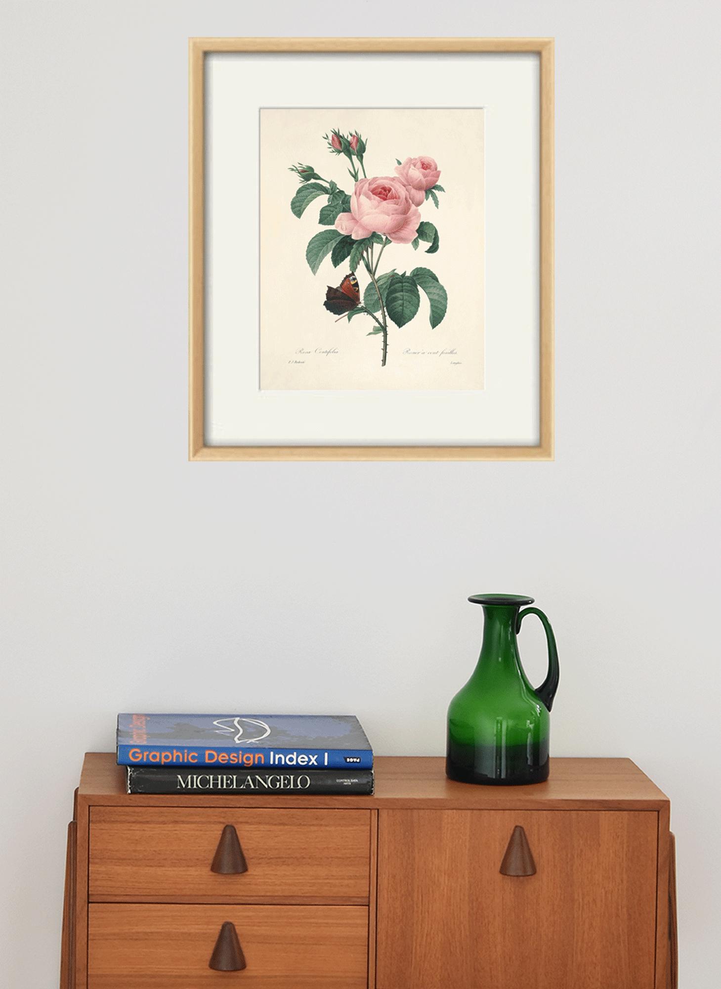 Antique Rose Art Print: Botanical Wall Decor - Etsy