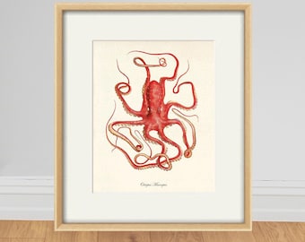 Antique Octopus Art Print: Vintage Nautical Decor