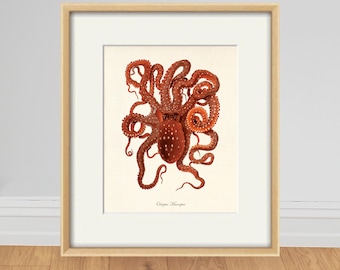 Vintage Octopus Art Print: Hand-Colored Nautical Antique Illustration