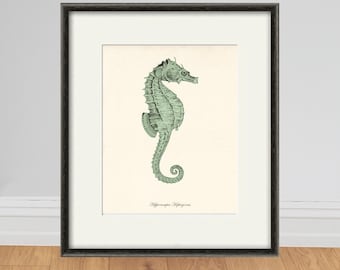 Vintage Seahorse Print, Antique Ocean Sea Life Illustration