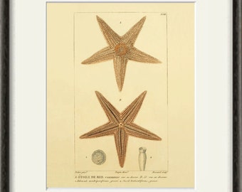 Society6 ケース VINTAGE STARFISH by Studio70 Vintage Starfish Art Glass Dish Gold Textured Artisan Ocean