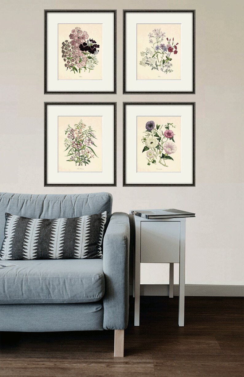 Antique Flower Art Print Set Antique Prints Pink Botanical Etsy