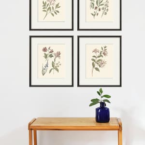 Antique botanical prints SET of 4 Botanical art prints flower prints wall art flowers botanical poster antique wall art home decor wall art