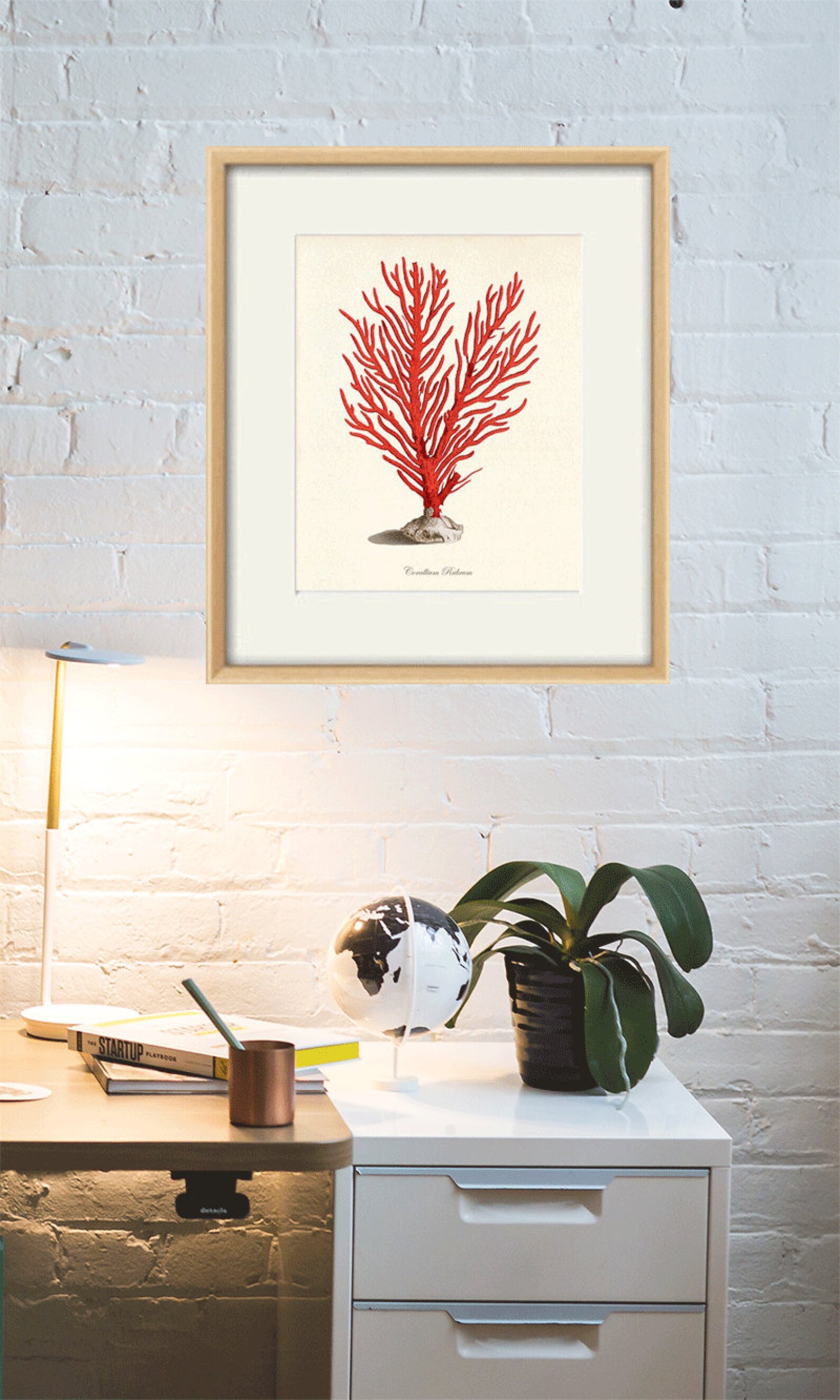 Sea Coral Art Print Vintage Sea Art Print Old Prints Nautical Etsy