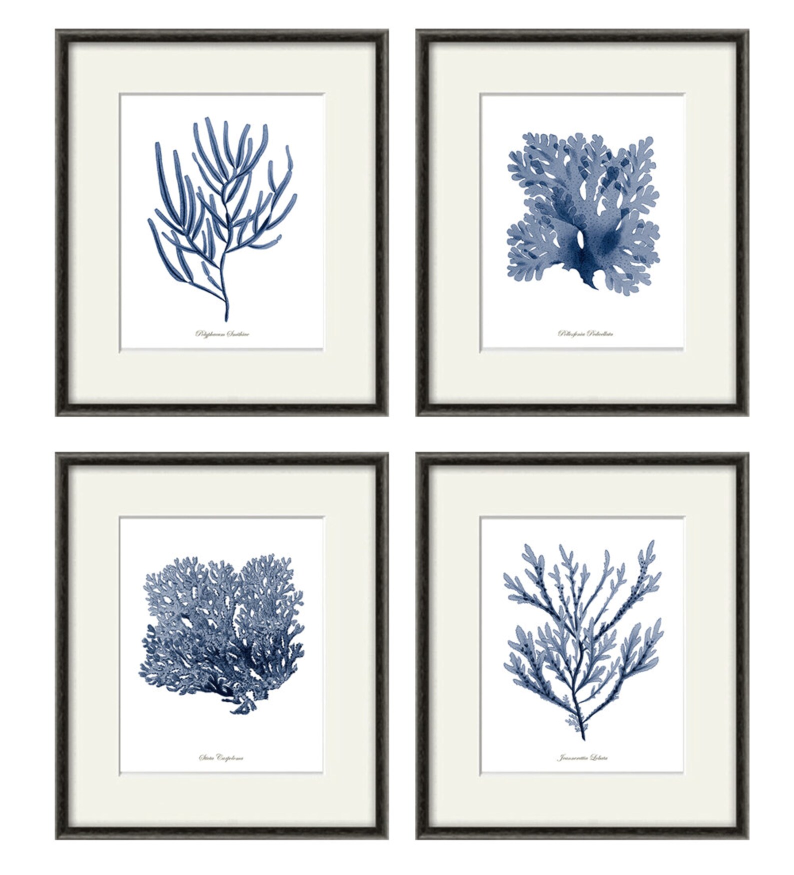 Beach Art Print Nautical Wall Art Sea Art Print Vintage Ocean Etsy