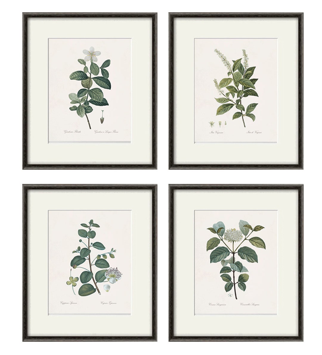 Botanical Print Set Leaf Art Print French Botanical Art Print Etsy