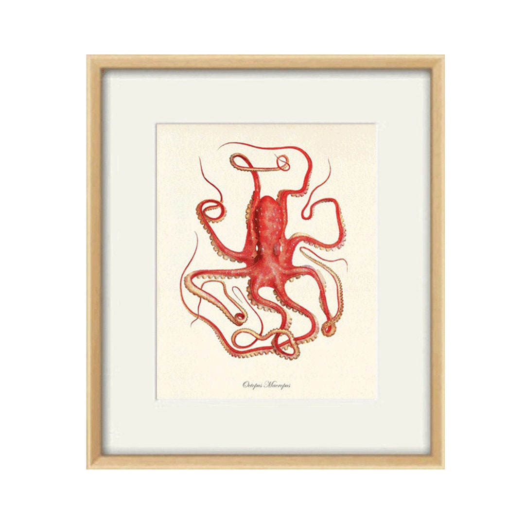Antique Octopus Art Print Vintage Nautical Print Ocean Print Sea Art