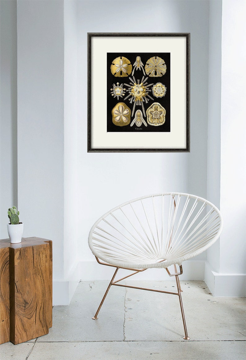 Nautical print Ocean art Ocean Decor Beach wall decor nature | Etsy